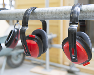 Hearing Conservation