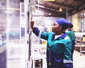 Food Service and Distribution - HACCP Overview (US)