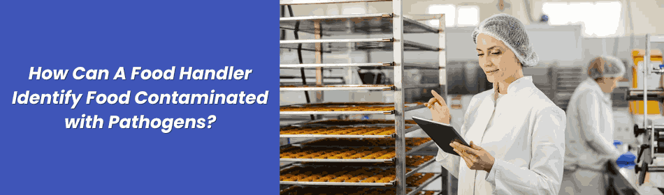 How Can A Food Handler Identify Food Contaminated with Pathogens?